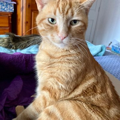 Jacqui, by kind permission of Ozbod.💜