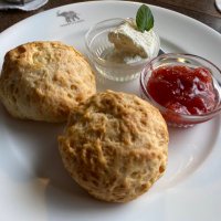 Kay（ケイ）🥦▶︎ next 3/16 Penthouse日本武道館