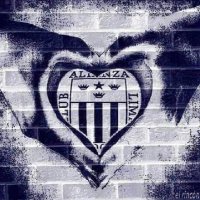 Jose carlos Castro ruiz