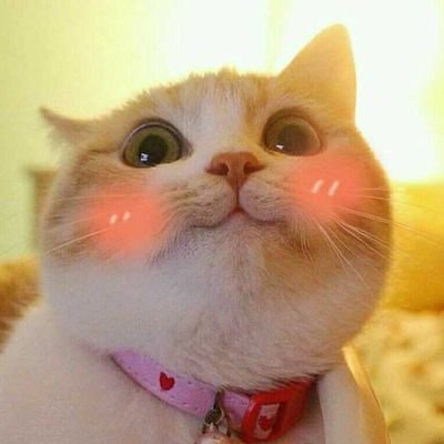 𝔻𝕠𝕣𝕪 🐟