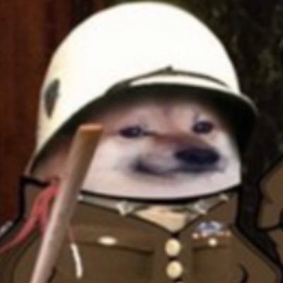 NAFO Brazuca 🇧🇷🇺🇦🏴‍☠️🌲😇