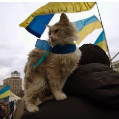 Vita🇮🇹🇪🇺🇺🇦🇵🇱🇬🇧🇬🇪🇨🇦