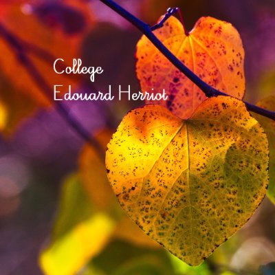 Collège Herriot 💼📚