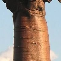 ℤ𝕚𝕟𝕔𓃩Dejudaizer™𓁤Orémus et pro pérfidis Judǽi