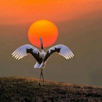 無窮🌸サベツダにはジジツヤデ🇯🇵