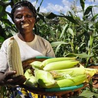 Farming Is The Business