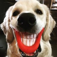 Freezing to death on legacy benefits ...