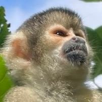 koga_kota◎コガ・コータ