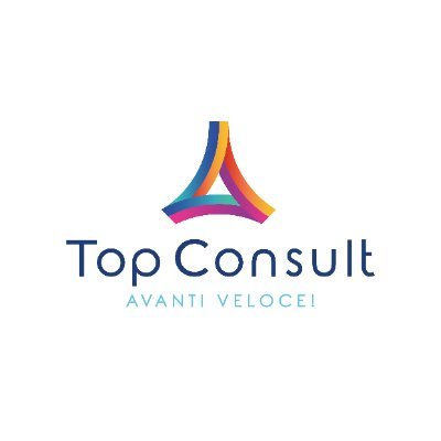 Top Consult Srl