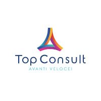 Top Consult Srl