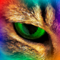 パラベル@STEPN&HEAL3