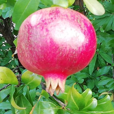 moltodafare&pocodadire