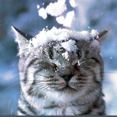 Jen - Rapture NOT alien abduction