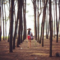 Jigs | Curious Musings