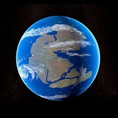 Survivorgram ᵃᵇᵇ🚀🛡