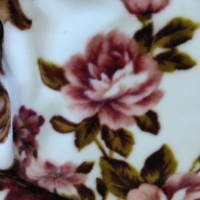 🍀𝓚𝓞𝓚𝓞 🍀一期一会💖あなたの気持ちに寄り添いたい💖