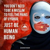 🧭 Chiang Kai Shek 🎯