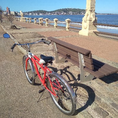 DianaMaggiolo-❤️💙🤍