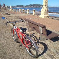 DianaMaggiolo-❤️💙🤍