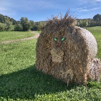 Lasciate ogni speranza