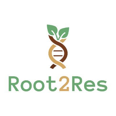 Root2Res