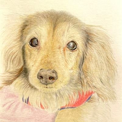 (´・ω・`p|ユウ@ペットロス中のFD2乗り |q