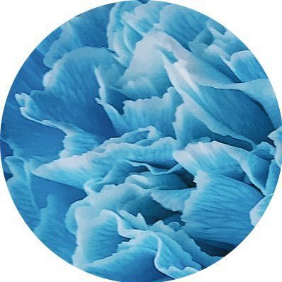 ドロシーに恋して