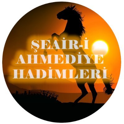 Şah Ahmediye Hadimleri