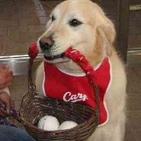 🎏ザキオカープ@4/18 vs🌟