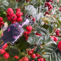 ⛩❤️‍🔥jrose(ローサ)📍📍📍