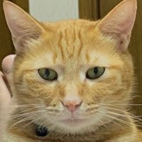 AKI🐾Grageインフィニティ