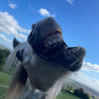 🏴󠁧󠁢󠁷󠁬󠁳󠁿SirMichaelOfWales🏴󠁧󠁢󠁷󠁬󠁳󠁿