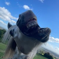 🏴󠁧󠁢󠁷󠁬󠁳󠁿SirMichaelOfWales🏴󠁧󠁢󠁷󠁬󠁳󠁿