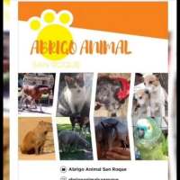 ABRIGO ANIMAL SAN ROQUE