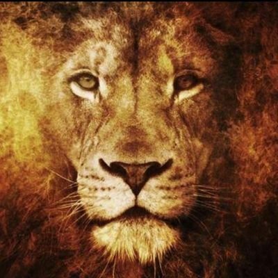 𝕄𝕚𝕜𝕖𝕪-φ-𝔸𝕝𝕝🐢𝕦𝕟𝕚𝕥𝕖𝕕 🇫🇷🇵🇸🇱🇧