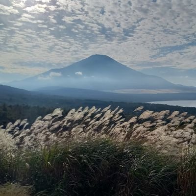 たんかちゃん(淡化張・淡化)