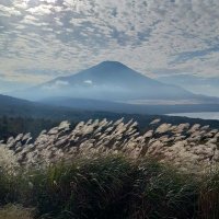 たんかちゃん(淡化張・淡化)