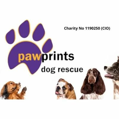 Pawprints Dog Rescue (UK)