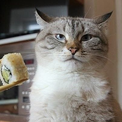 Кот деда Митяя