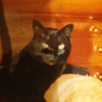 Jayne band 🖼📚🖊