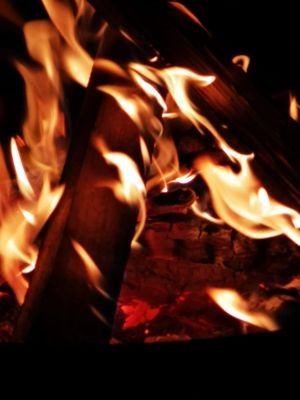 Verum Exeat ☝️😡