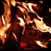 Verum Exeat ☝️😡