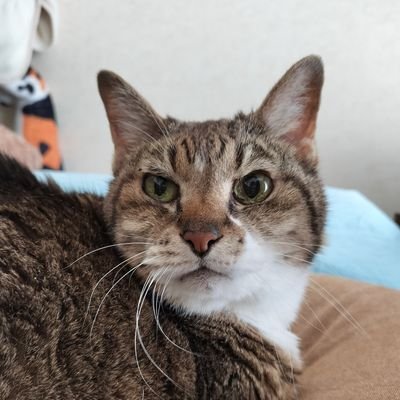 Ruru　いつもいつでもいつだって秀樹♪2025年は昭和100年秀樹70年♪