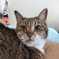 Ruru　いつもいつでもいつだって秀樹♪2025年は昭和100年秀樹70年♪