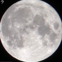 ✄------------------------