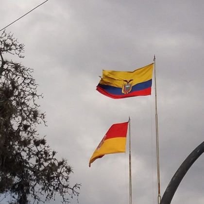 Individuo, NO banda.