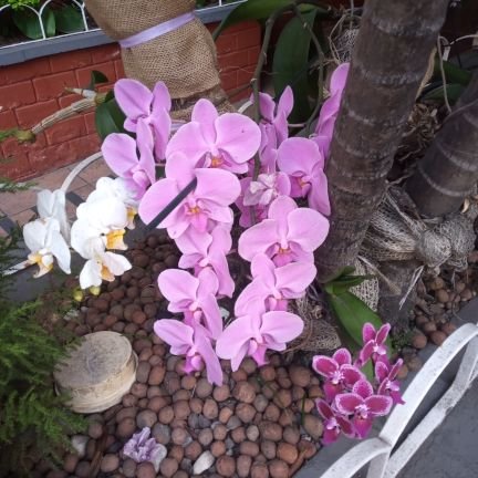 JudyThereza França🚩🚩🚩🎶💙🤍🌻❤️🖤🤘🎸💜