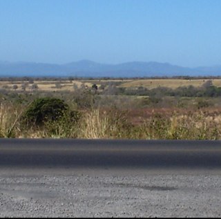 Alonso Castro Lizano