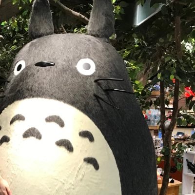 m 🐱固定ツイ必読🐱