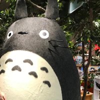 m 🐱固定ツイ必読🐱